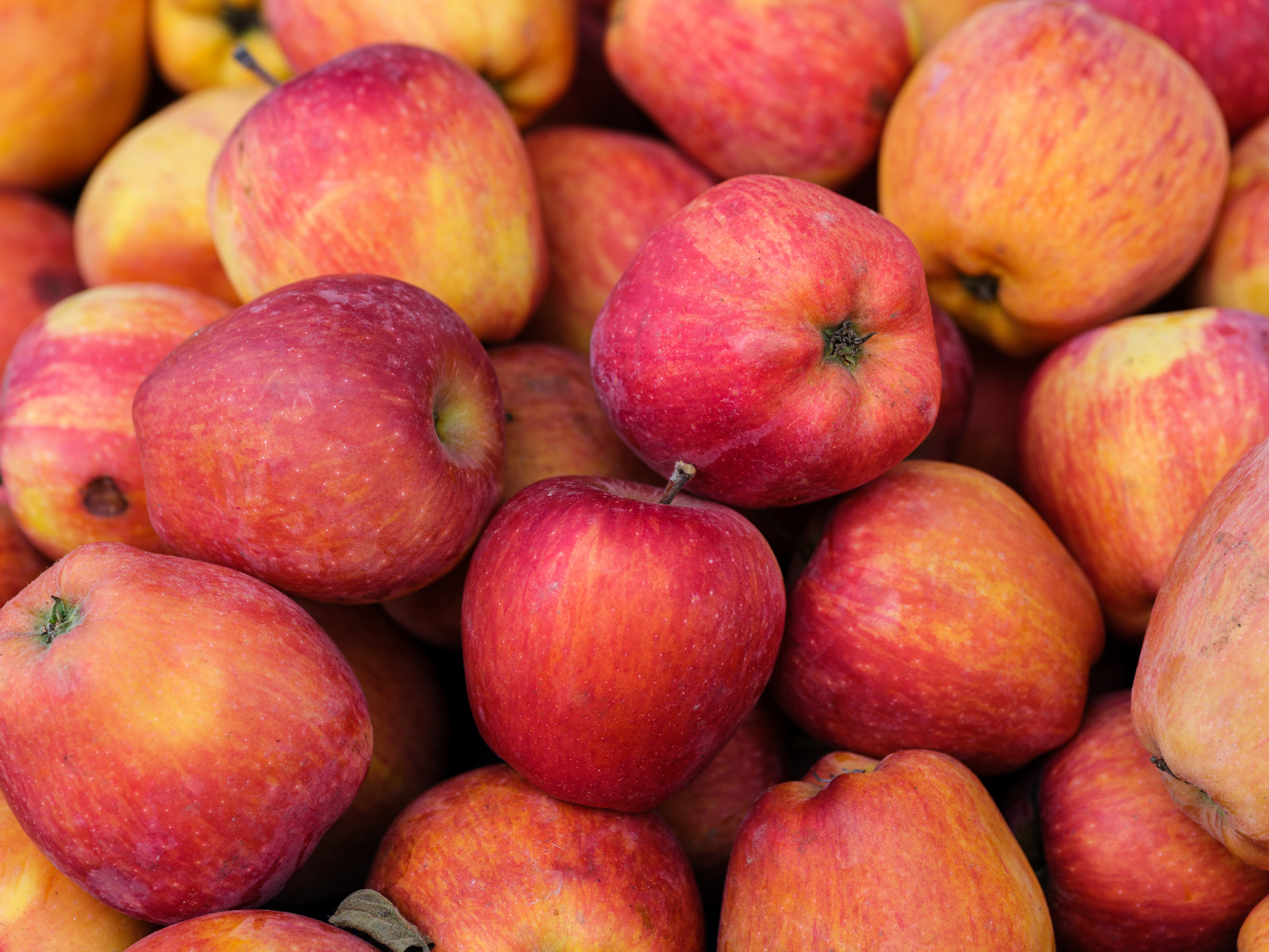 Äpfel